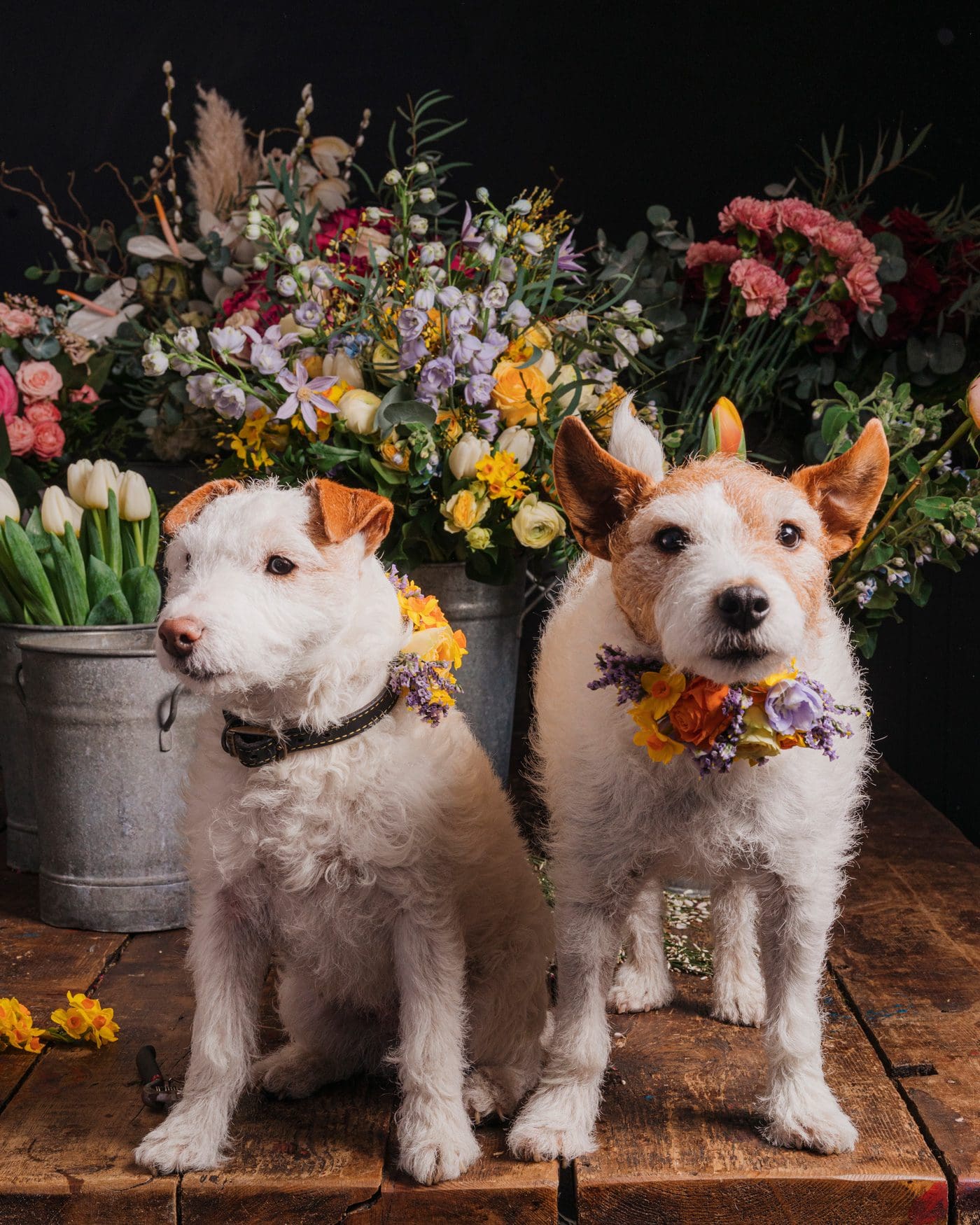 Bouquets of flowers in a van