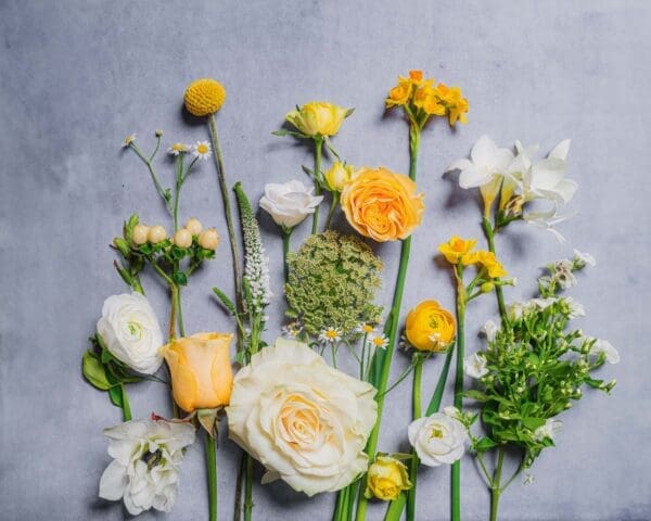 BUTTERCUP_gobotanica_flatlay-03-06-24.jpg