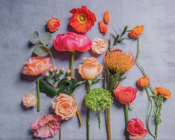 GLORIA_gobotanica_flatlay-03-06-24.jpg